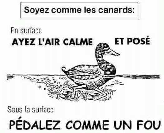 canard-266552a.png