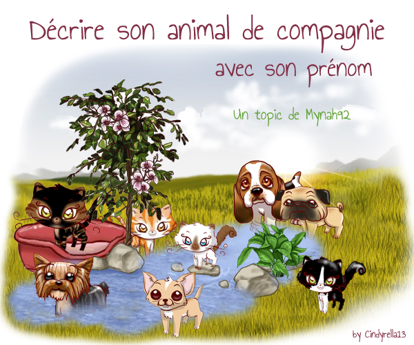 http://img61.xooimage.com/files/2/1/3/header-topic-animaux-2423255.jpg