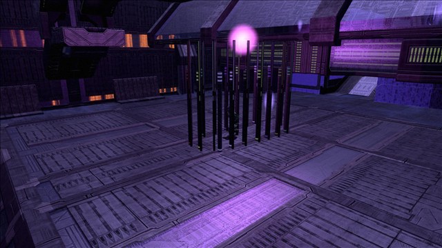 FWM The Wheelfever Cage-23b3d84
